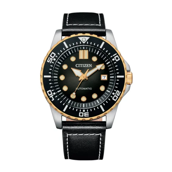 citizen NJ0176-10E