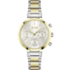 Hugo Boss Watch For Women HB1502550