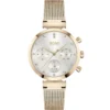 Hugo Boss Watch For Women HB1502553