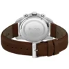 Hugo Boss Watch For Men HB1513787