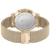 Hugo Boss Watch For Men HB1513808