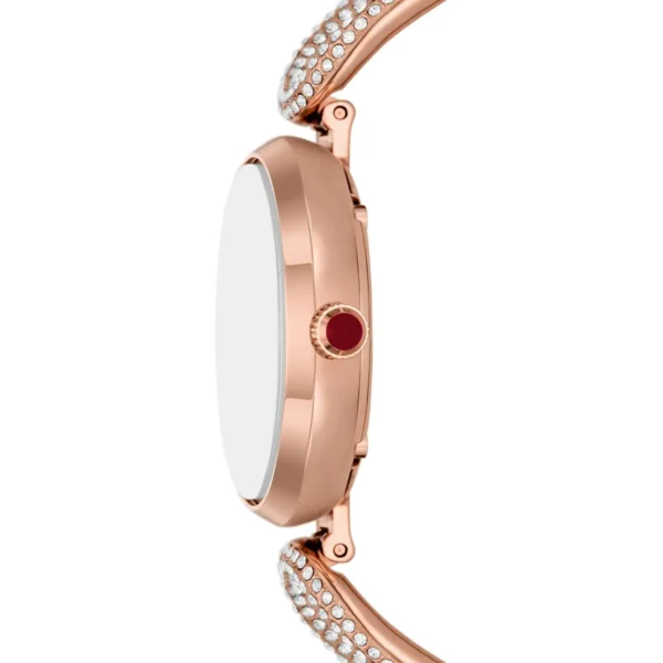 Emporio Armani Watch For Women AR11737