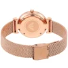 Emporio Armani Watch For Women AR11320