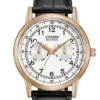 Citizen Watch Eco Drive Day & Date White Dial Black Leather Strap Watch For Men - AO9003-16A