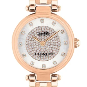 Coach Park Silver Dial Rose Gold Steel Strap Watch for Women - 14503735