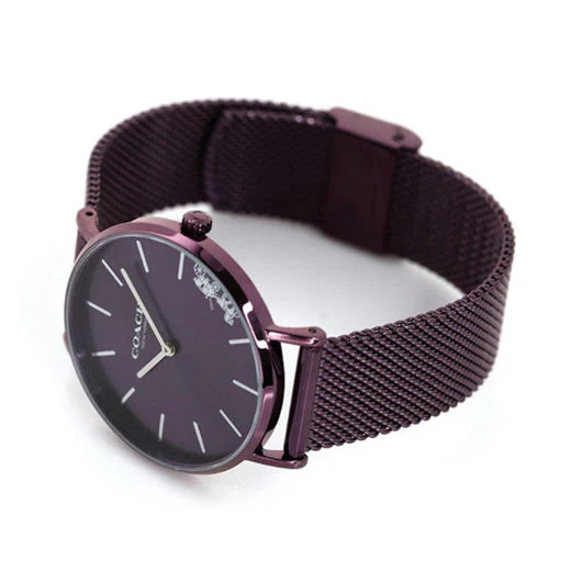 1523257676_04.g_520-w-st_g Coach Perry Purple Dial Purple Mesh Bracelet Watch for Women - 14503484