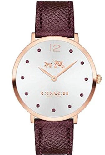 41kpbgT890L Coach Slim Easton Silver Dial Brown Leather Strap Watch for Women - 14502694