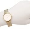 Coach Perry Gold Dial Gold Mesh Bracelet Watch for Women - 14503342