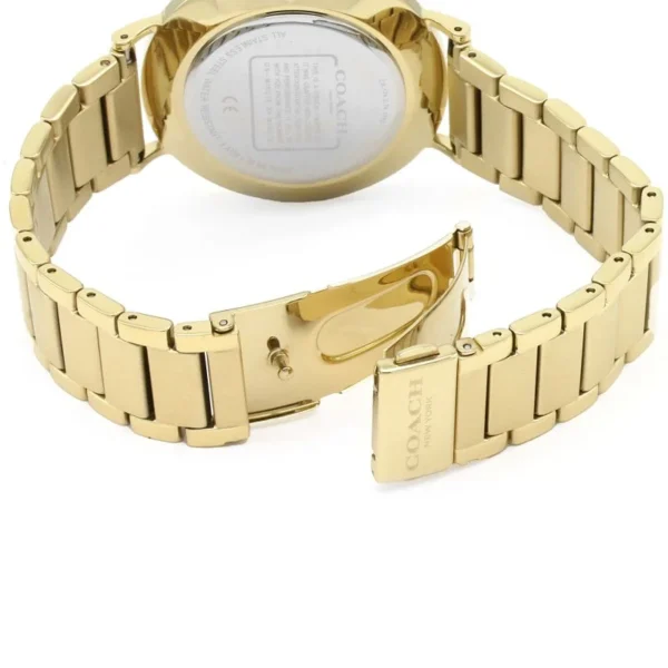 IMG_0144-1 Coach Charles Silver Dial Gold Steel Strap Watch for Men - 14602430