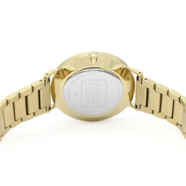 IMG_0148-4 Coach Charles Silver Dial Gold Steel Strap Watch for Men - 14602430