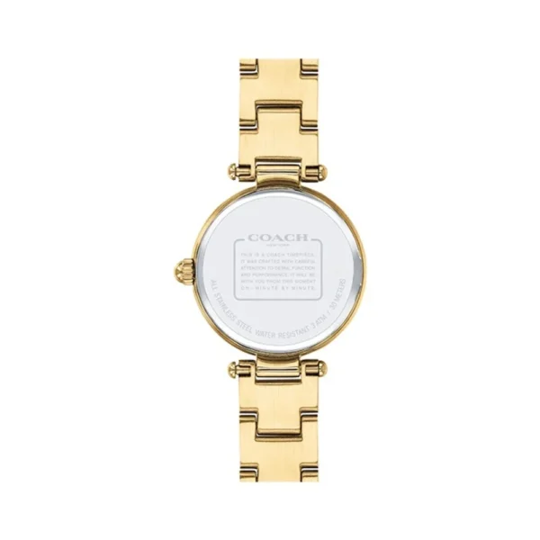 Coach Park Blue Dial Gold Steel Strap Watch for Women - 14503225