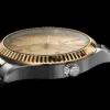 Tudor Style Automatic Gold Dial Two Tone Steel Strap Watch for Men - M12713-0001