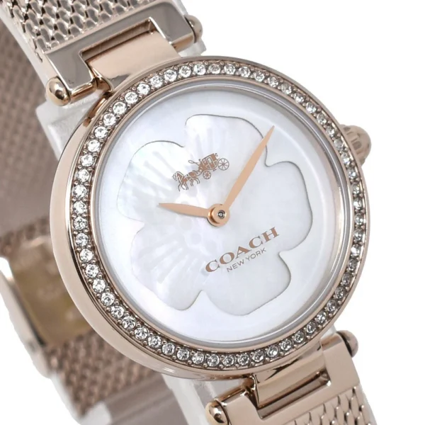 org_fb4d550d-8a4b-49bc-9918-e86352c010c3 Coach Park Mother of Pearl Dial Rose Gold Mesh Bracelet Watch for Women - 14503511